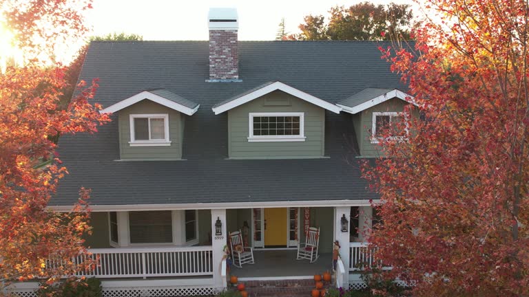 Best Cold Roofs  in Scottville, MI